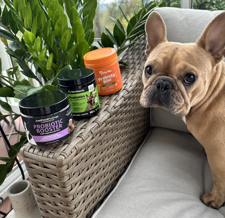 Just Food for Dogs vs. Zesty Paws vs. Pet Honesty: Which Probiotic is Expert-Approved?